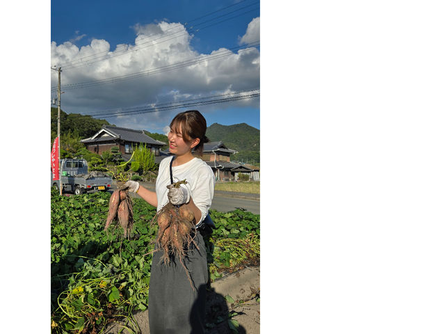 2025.10.7 �����[���A���̗ʁA����ς藧�h�ł���_���{�_��