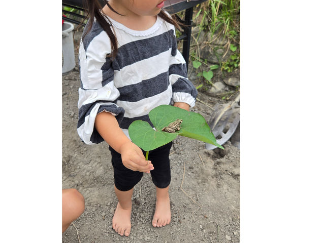 2025.10.12�@�g�i�T�}�K�G���A�t���ςɏ悹������v
_���{�_��