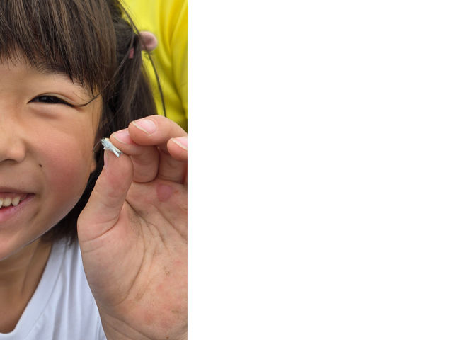 2025.10.12 ����ȏ����Ȓ��X�߂܂���_���{�_��