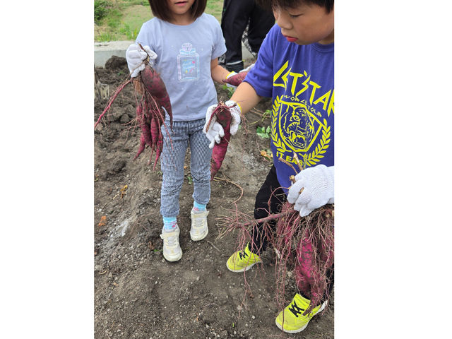 2025.10.12 ����Ɨǂ��̂��łĂ��܂����ˁB�ǂ������B_���{�_��