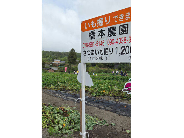 2025.10.13 �������撣�낤_���{�_��