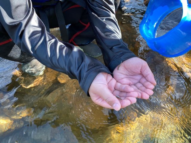 ��ʎВc�@�l�����ό����i�@�\