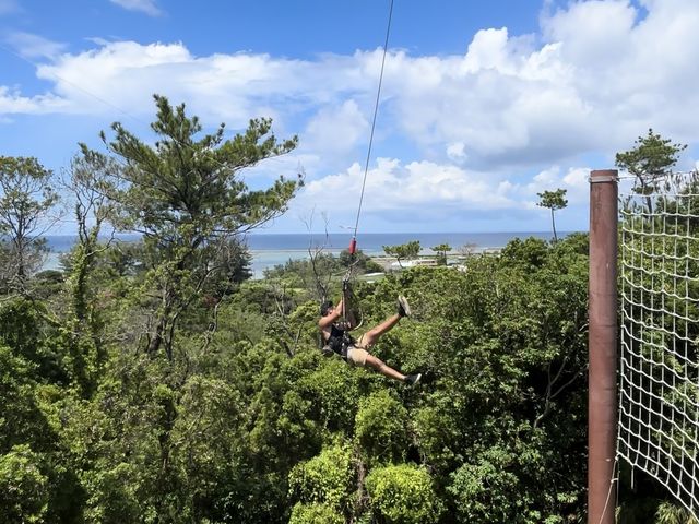 lC̃^[UXCOI_tHXgAhx`[[