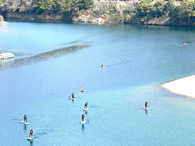 Wasshoi Entertainment(���b�V���C �G���^�[�e�C�����g)