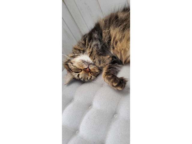 �L�n�E�X�@�܂����邃������