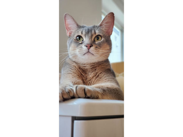 �L�n�E�X�@�܂����邃������