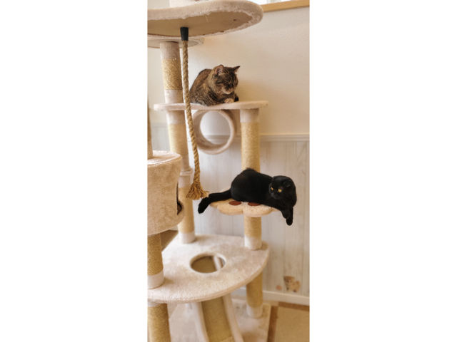 �L�n�E�X�@�܂����邃������