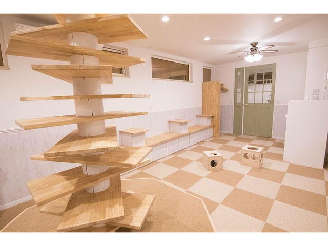 �L�n�E�X�@�܂����邃������