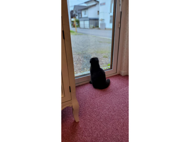 �L�n�E�X�@�܂����邃������