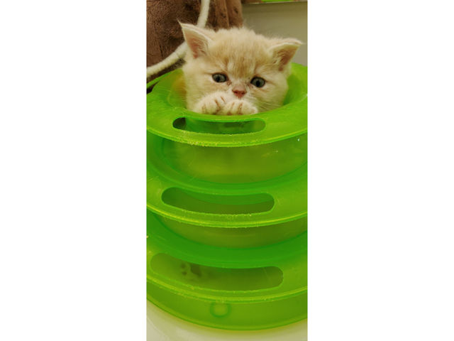 �L�n�E�X�@�܂����邃������