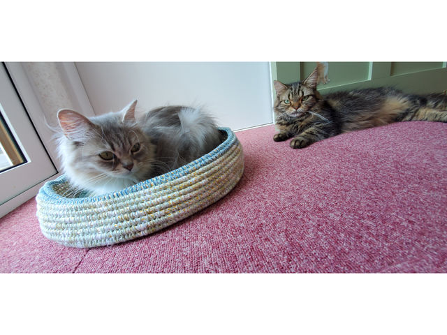 �L�n�E�X�@�܂����邃������