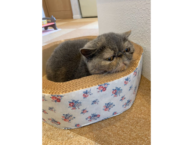 �L�n�E�X�@�܂����邃������