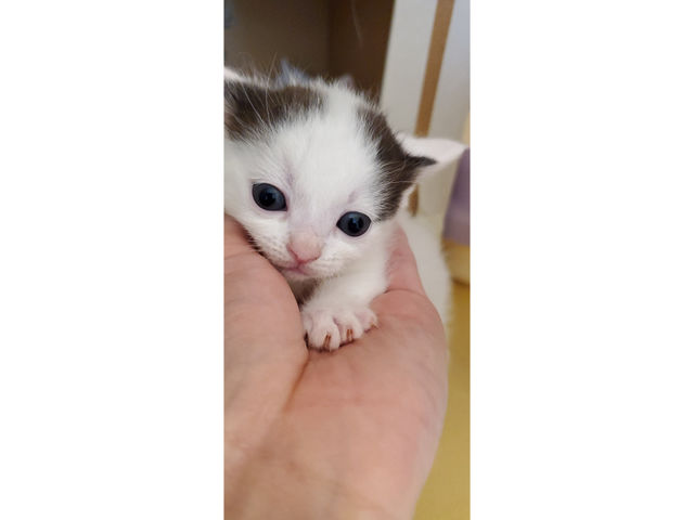 �L�n�E�X�@�܂����邃������