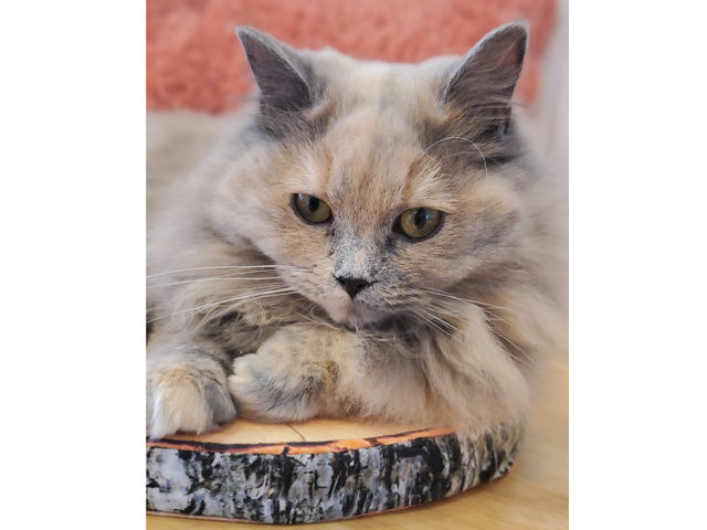 �L��������_�L�n�E�X�@�܂����邃������