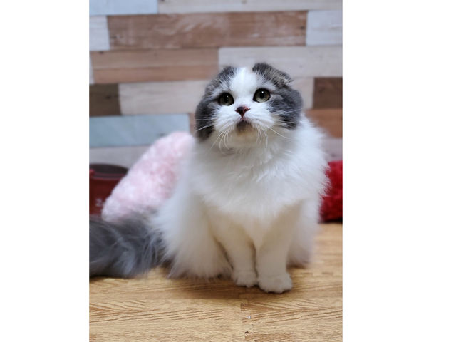 �L�n�E�X�@�܂����邃������