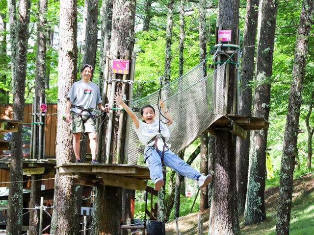 g110cmOK80R[X̃Lms[R[XI_tHXgAhx`[E