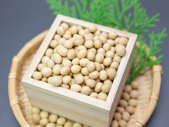 Cafe �ɂ���q��