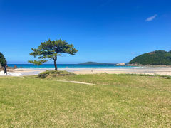 Marine Sports G-3�̎ʐ^1