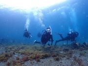 DIVE SHOP Jua�̎ʐ^3