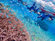 Marine shop Irafu̎ʐ^3