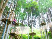 tHXgAhx`[Eg샖̎ʐ^3