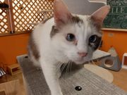 یLƂȂJtFVbvNouvelle Vague̎ʐ^2