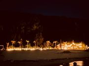 ΃_CjO-Perchill-̎ʐ^3