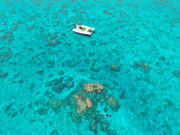 ΃_CjO-Perchill-̎ʐ^2