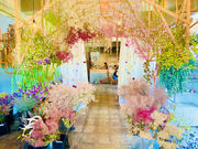 mucnotonari ~ lien̎ʐ^1