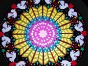 Tiare Kea -eBA PA-̎ʐ^3