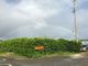沖縄情熱農園の写真4