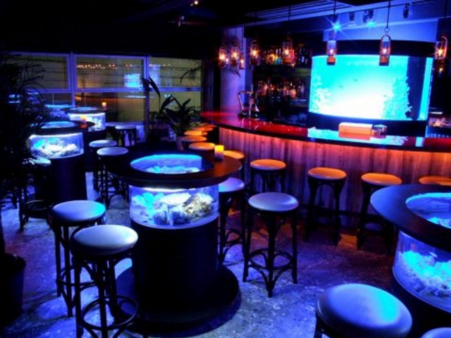 o[ V[N bar shark̎ʐ^1