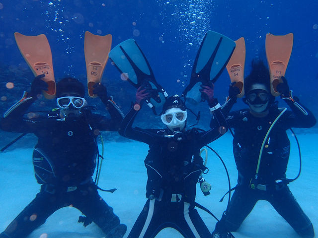 �}�����T�[�r�XSea�Ԃ�