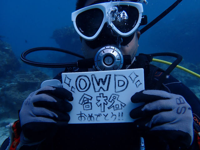 �}�����T�[�r�XSea�Ԃ�