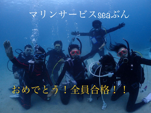 �}�����T�[�r�XSea�Ԃ�