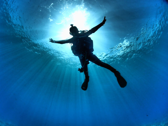 �}�����T�[�r�XSea�Ԃ�