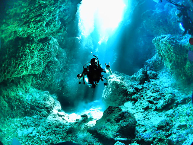 �}�����T�[�r�XSea�Ԃ�