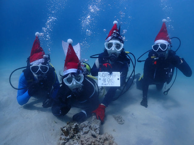 �Ռ��̉��i�Ń_�C�r���O���C�Z���X�u�K�I�S�ăR�~�R�~��19,800�~�I_�}�����T�[�r�XSea�Ԃ�