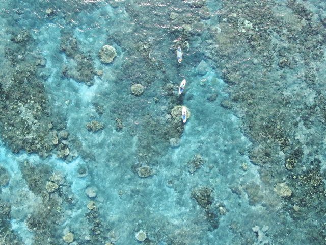 SKY DRONE �{�Ó�