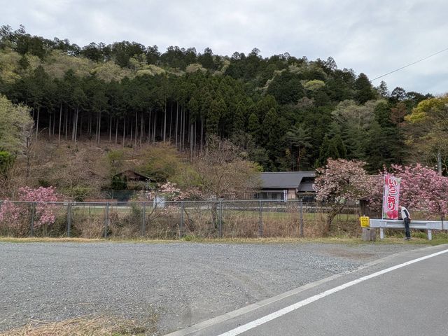 �x���[�p�[�N���s�Ђ悵�R�̉Ƃ̎ʐ^1