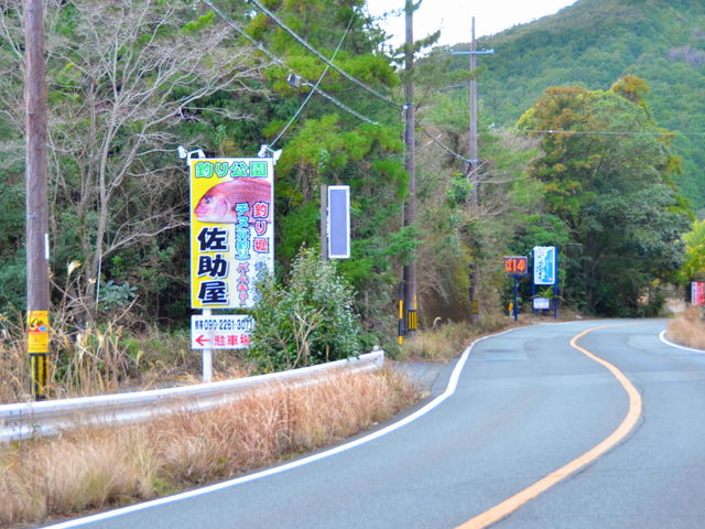 ����260�������ɂ���u�������v�̊Ŕ����܂��܂��B_�ނ���� ������