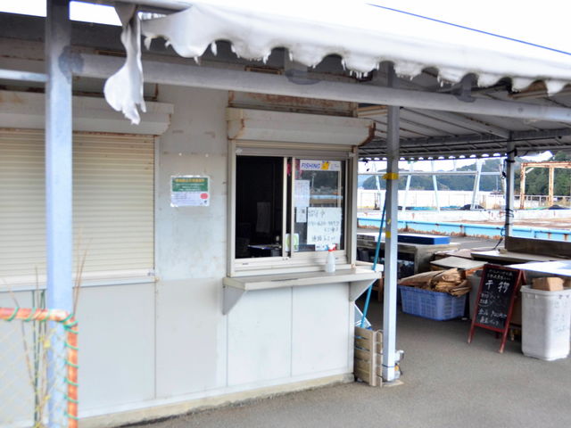 ��t�ł��B_�ނ���� ������