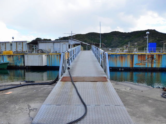 �X���[�v���オ��Ǝ�t������܂��B_�ނ���� ������