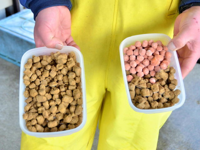 �a�̓_���S�ł��B_�ނ���� ������