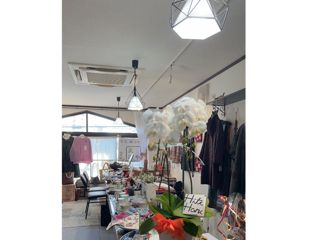 �X���̗l�q��_������