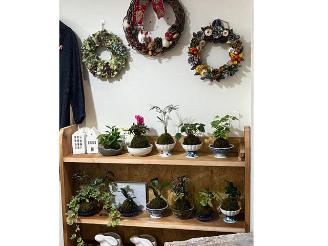 �ۋʁA�̔������Ă���܂���_������