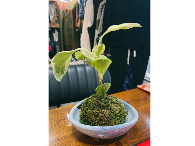 �����C�N���ꂽ��������(^O^)_������