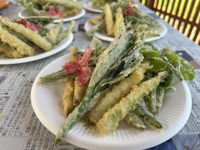 �l�}�K���^�P�A�A�}�h�R���A�E�h���X�A�{�ȎR�؂ł��I_�������c���т̗�