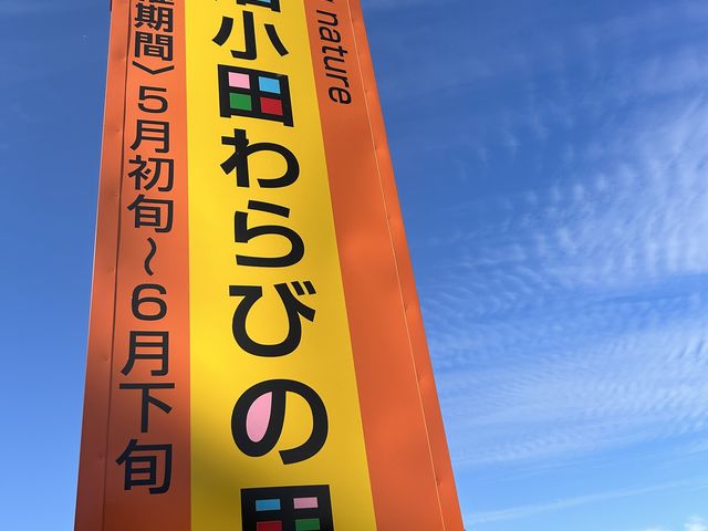 �V���ȃ����h�}�[�N���ł��܂����B������ڎw���Ă��������B_�������c���т̗�