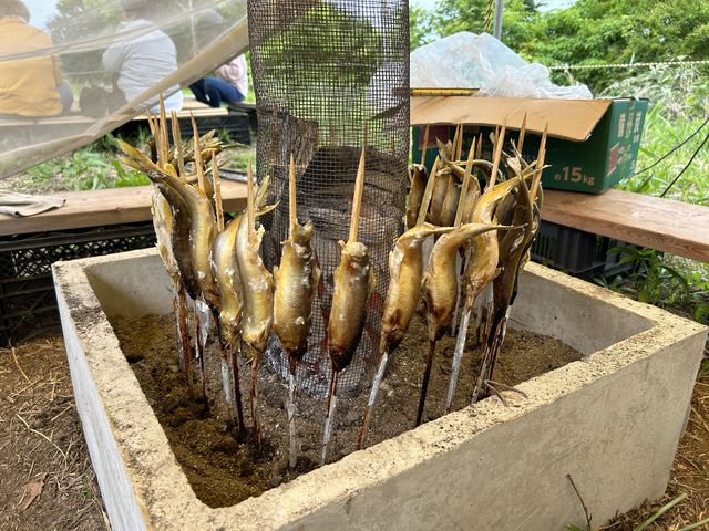 ���̉��Ă������E�߁A��D�]�ł�_�������c���т̗�